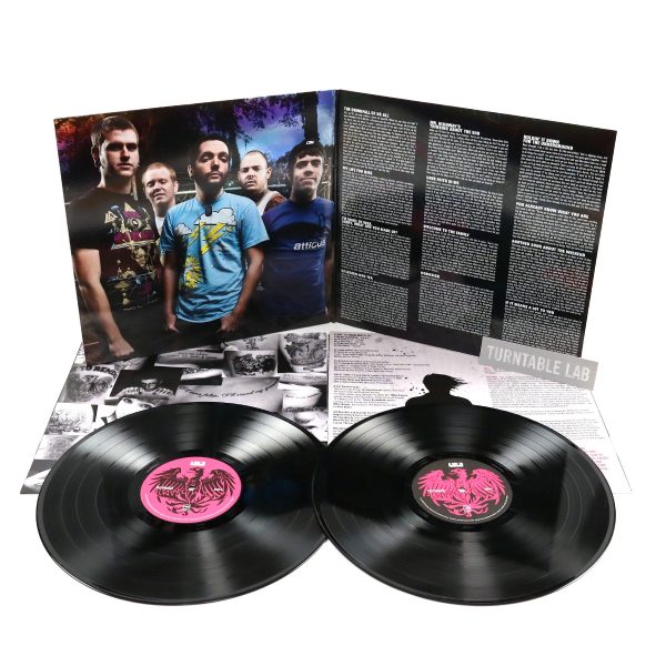 A Day To Remember: Homesick Vinyl 2LP Supply - Image 2