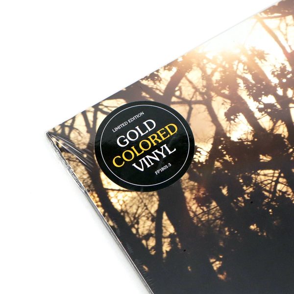 The Weather Station: How Is It That I Should Look At The Stars (Indie Exclusive Colored Vinyl) Vinyl LP Sale - Image 4